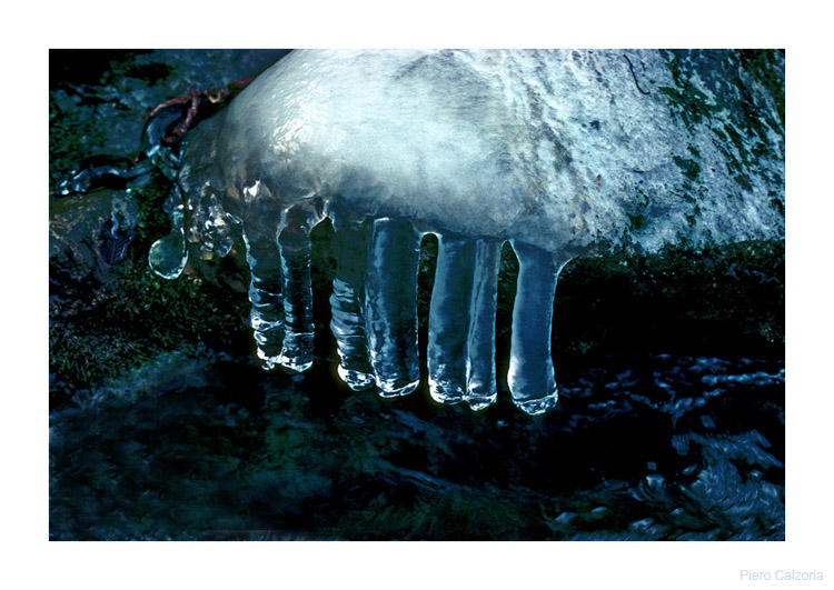Magia d'inverno 4