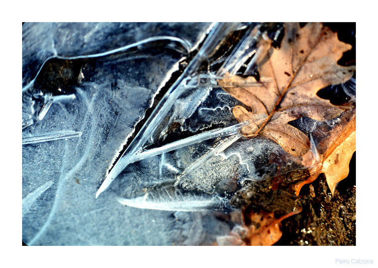 Magia d'inverno 5