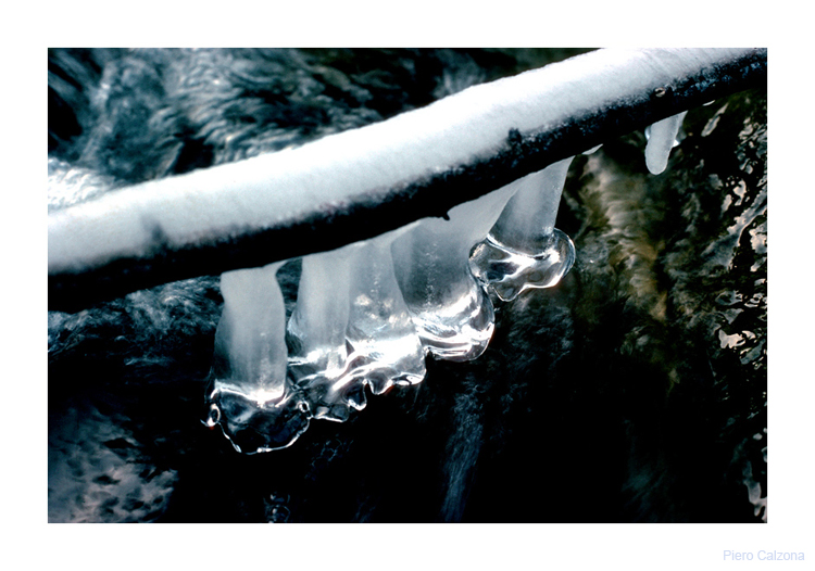 Magia d'inverno 6