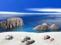 parghelia 3