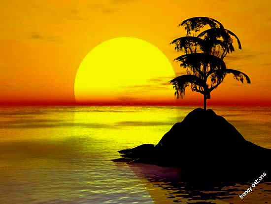 bonsai