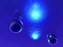Deep Blue Sea