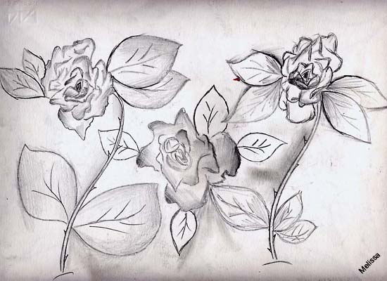 a fiori 1