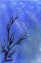 albero