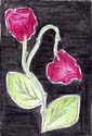 fiori rosa