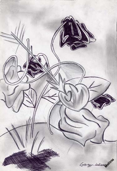 Senza titolo-13