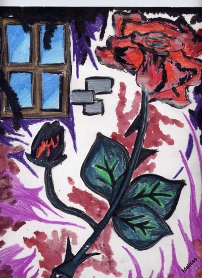 Senza titolo-5