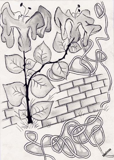 Senza titolo-6