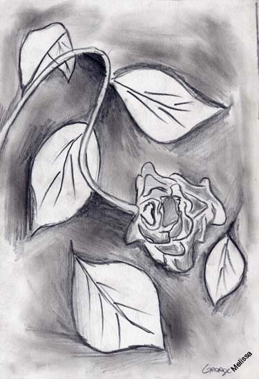 Senza titolo-21