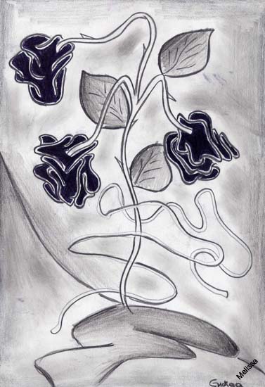 Senza titolo-23