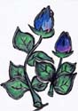 tulipani