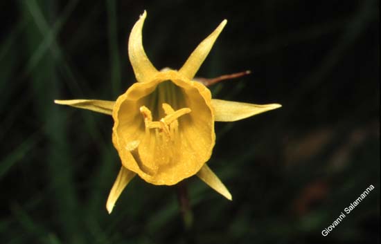 095