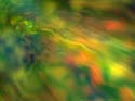 Untitled2