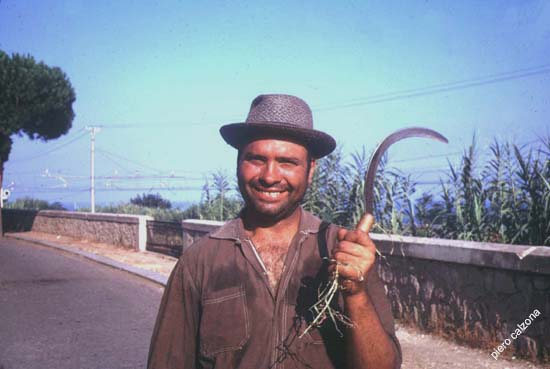 peppareu 2