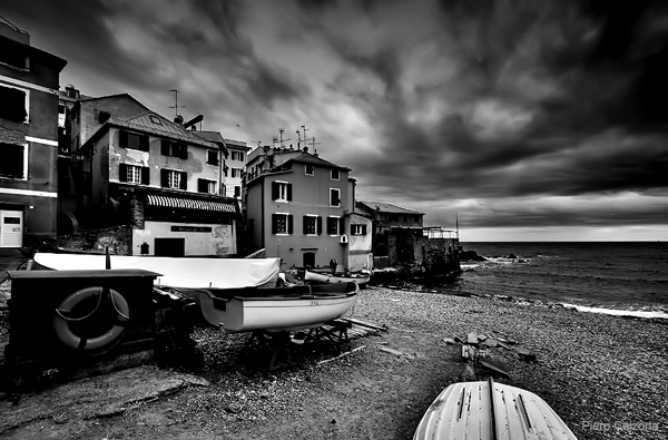 IMG_2006 bn