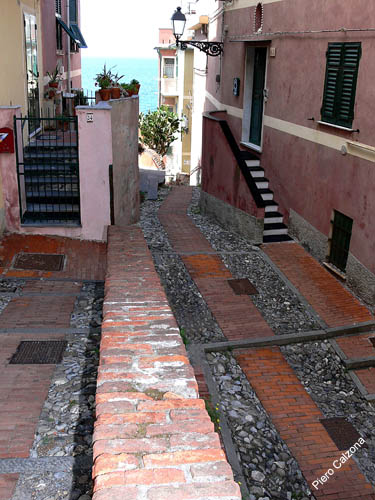 P1060035
