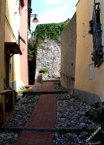 P1060039