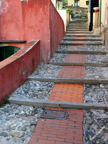 P1060097