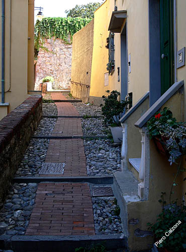P1060190