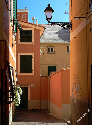 P1060432