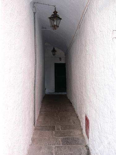 P1030123