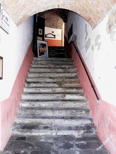 P1030125