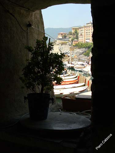 P1030131