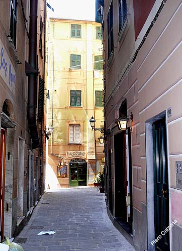 P1030168