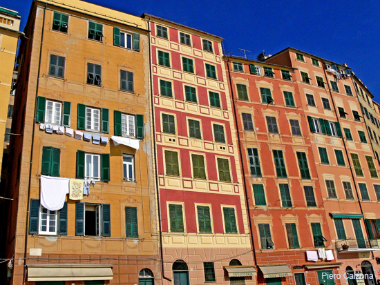 P1110574