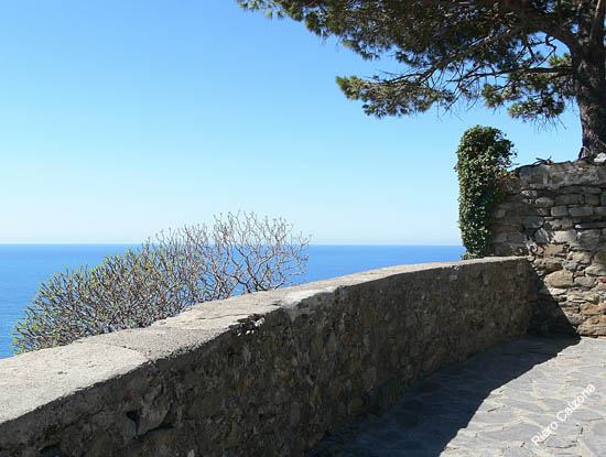 P1080768