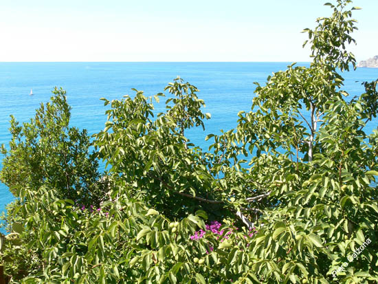P1080851