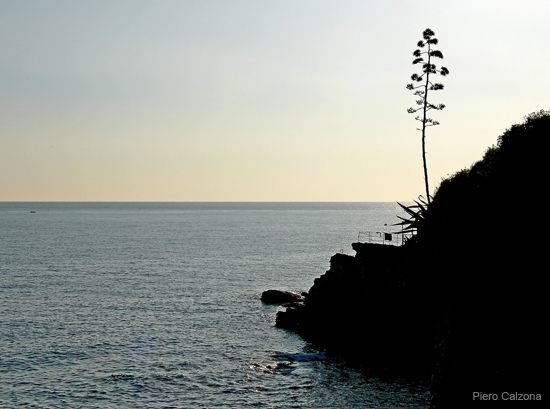 P1170704