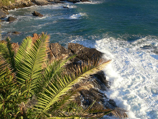 P1100323