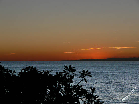 P1100432
