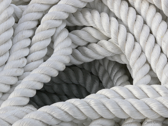 P1180421