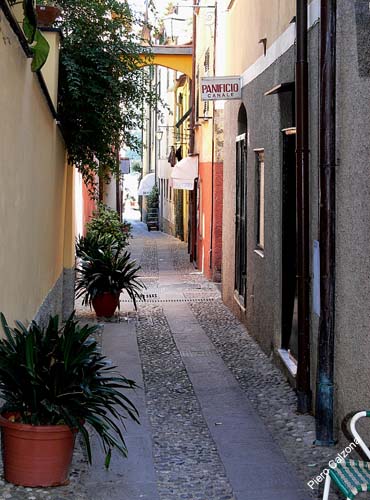 P1030251