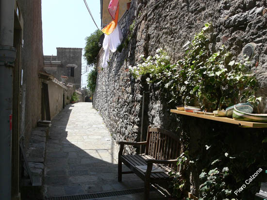 P1030712