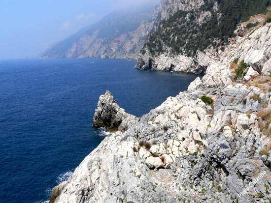P1030772