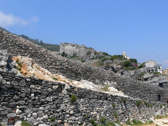 P1030786