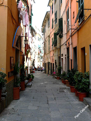 P1030701