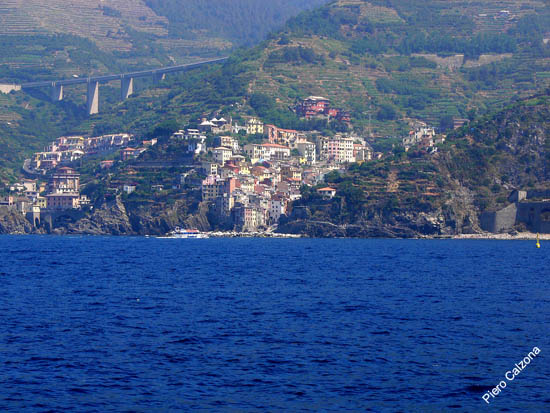 P1030605