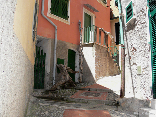 P1140004