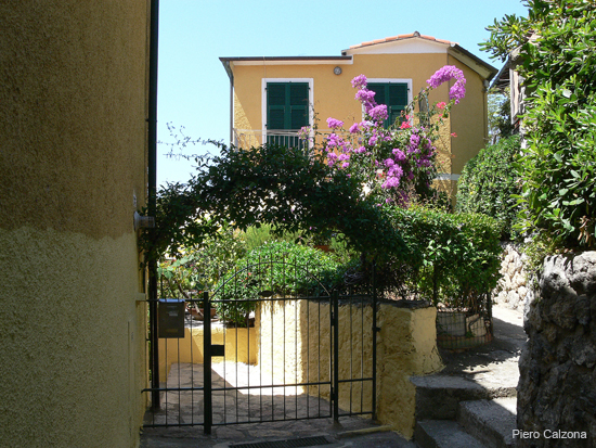 P1140038