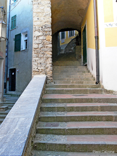 P1130917