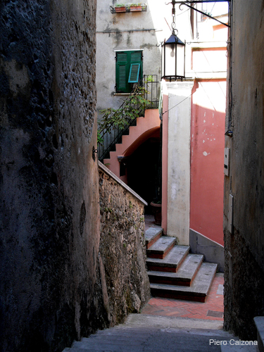 P1130941