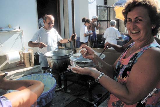 sagra 7