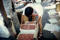 sagra 2
