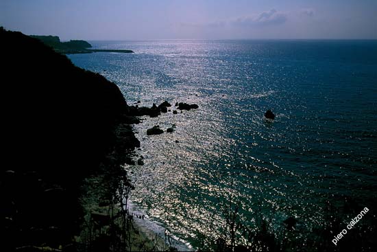 Image14