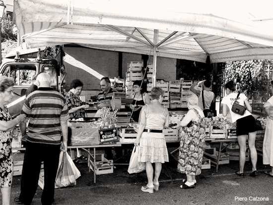 P1140318 bn