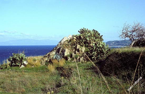 o5-31